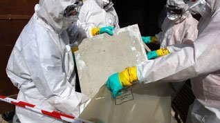 <span style="font-weight: bold;">Asbestos Removal</span>